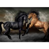 Horses 1000 Parça Ahşap Puzzle Yapboz